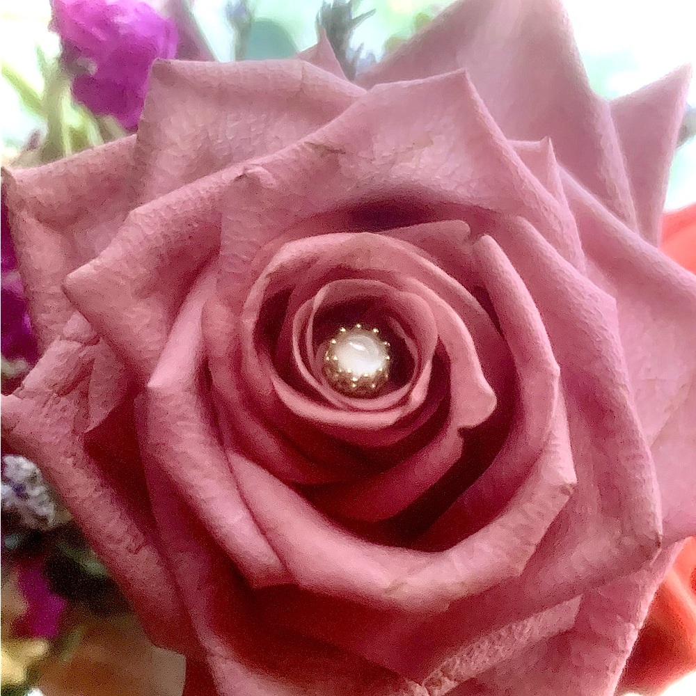 Anatometal 18k Gold King Crown end Moonstone